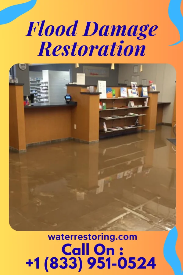 Flood Damage Restoration in Blackwells Mills, NJ