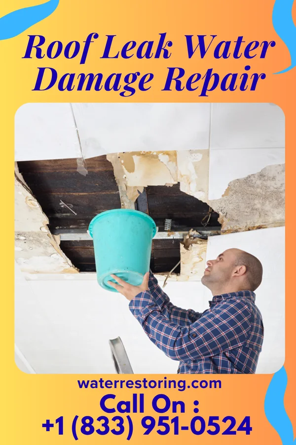 Roof Leak Water Damage Repair in Blackwells Mills, NJ