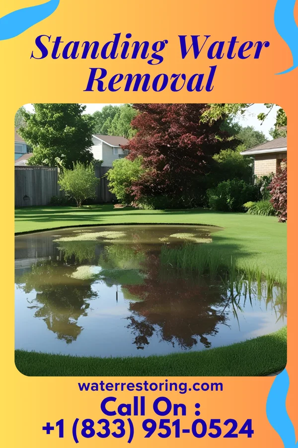 Standing Water Removal in Blackwells Mills, NJ